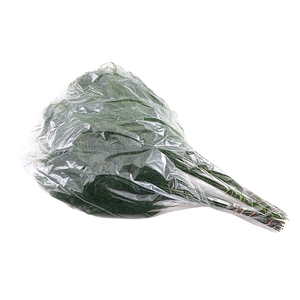 Treefern Vacuum X5
