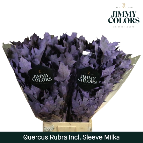 <h4>Quercus Rubra sleeve L80 Klbh. Milka</h4>