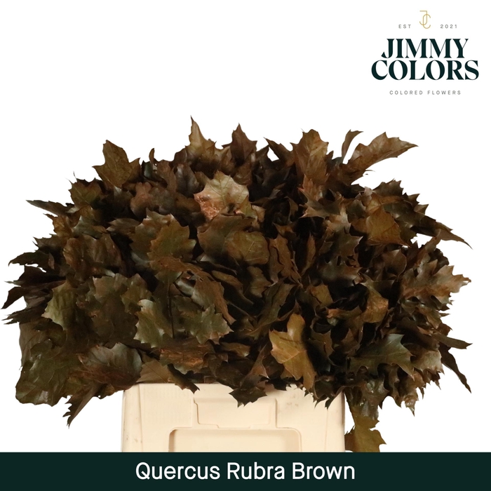 <h4>Quercus Rubra L60 Brown</h4>