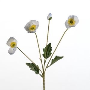 AF Papaver spr/4 fl L60cm l.bl