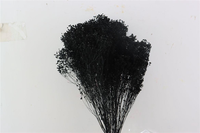 <h4>Dried Brooms Black Bunch</h4>