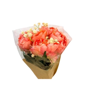 AF Bouquet (6pcs) Peony+Gyps