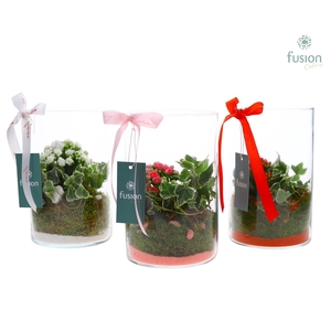 Glas Lucille Love met Arrangement