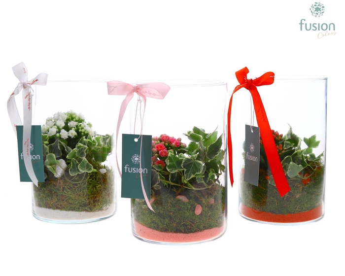 <h4>Glas Lucille Love met Arrangement</h4>