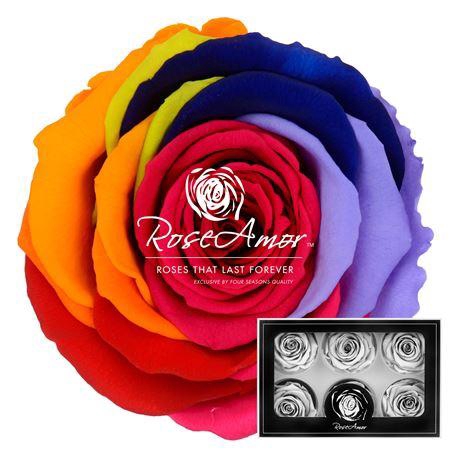 <h4>Lplus Rainbow Red02</h4>