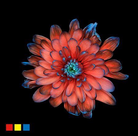 <h4>Chr T 2 Kl Baltica Bazooka</h4>