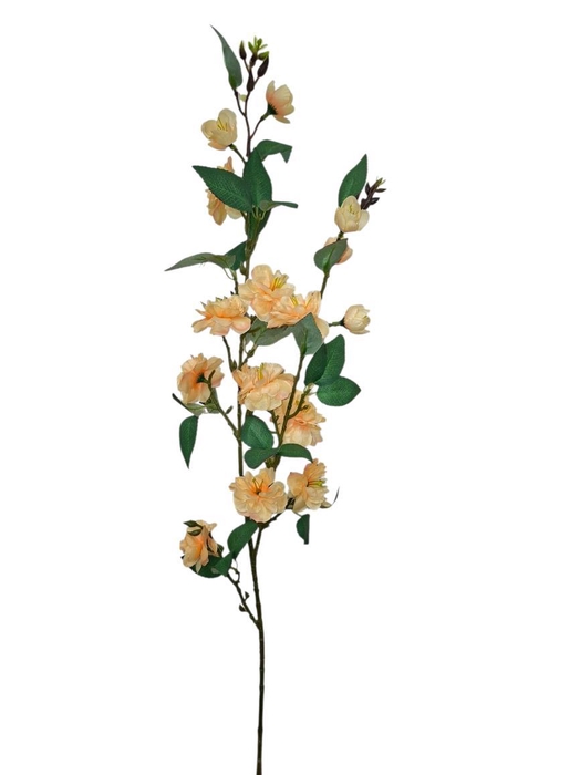 <h4>AF Blossom L90cm peach</h4>