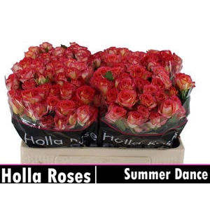 R Tr Summer Dance