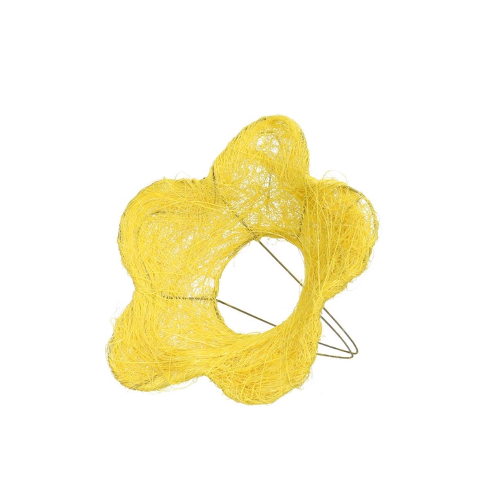 <h4>Bloem sisal d15cm</h4>