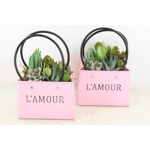 arr3 AD - Zink bag L'amour x6