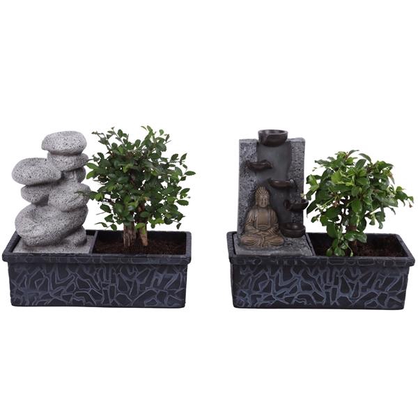 <h4>Bonsai Mixed Ball in ø22cm Waterfall</h4>