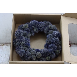 Wr Eryngium 30cm Naturel