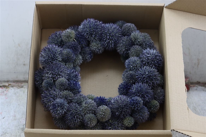 <h4>Wr Eryngium 30cm Naturel</h4>