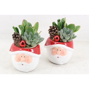 arr3 AD - Santa pot x9