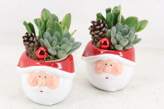 <h4>arr3 AD - Santa pot x9</h4>