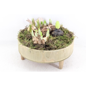 arr4 Bollenmix JS - Hout tafel x2