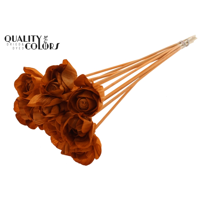 <h4>Shola Dear Holly 6cm on stem Terracotta</h4>