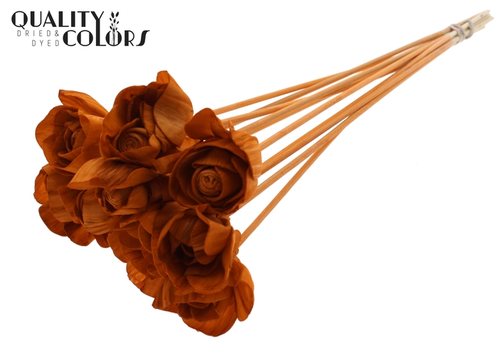 Shola Dear Holly 6cm on stem Terracotta