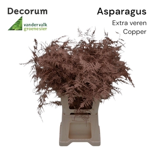 Asp extra veren Copper