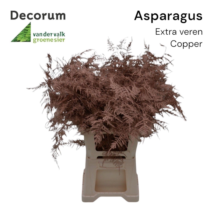<h4>Asp extra veren Copper</h4>