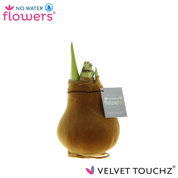 <h4>No Water Flowers Velvet Touchz® Copper</h4>