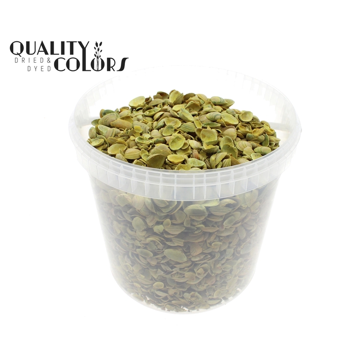 <h4>Shells north sea 10 ltr Yellow</h4>