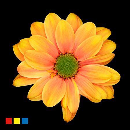 <h4>Chr T Kennedy Sunset</h4>