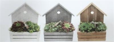 <h4>4750 Semp Hout Huis</h4>