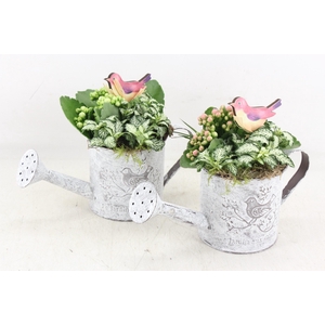 arr2 TD - Zink gieter - roze/wit