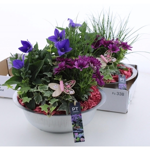 ARR TUINPLANTEN