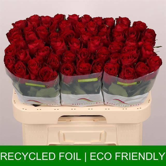 <h4>R GR MADAM RED</h4>