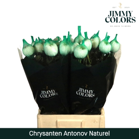 <h4>Chr G Antonov naturel Naturel</h4>