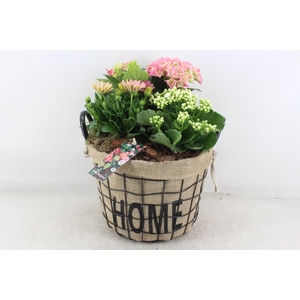 arr4 Outdoor MB - Hort. roze Jute/gaas mand home XL