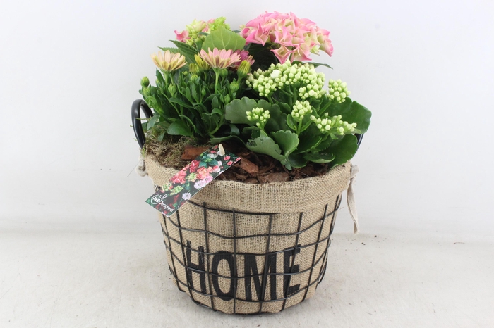 <h4>arr4 Outdoor MB - Hort. roze Jute/gaas mand home XL</h4>
