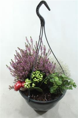 <h4>1096 Hangpot BT</h4>