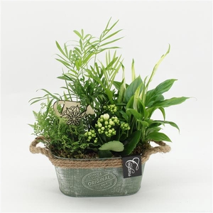 ESCR-2518W Essentials