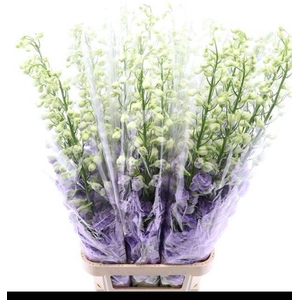 DELPH DU DE LAV LOVE