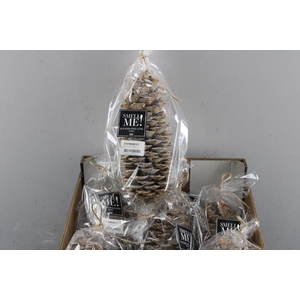 Deco Denneappel Geurend 25 Cm