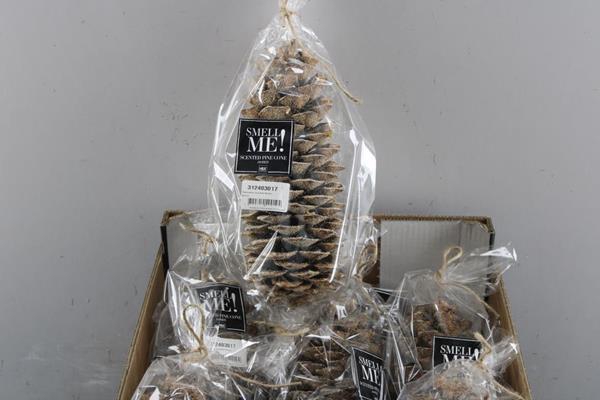 <h4>Deco Denneappel Geurend 25 Cm</h4>