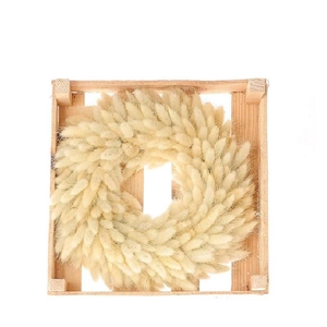 Wreath d30cm Lagurus