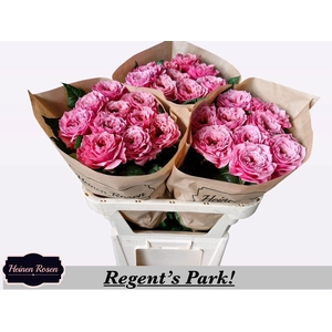 R GR REGENTS PARK!