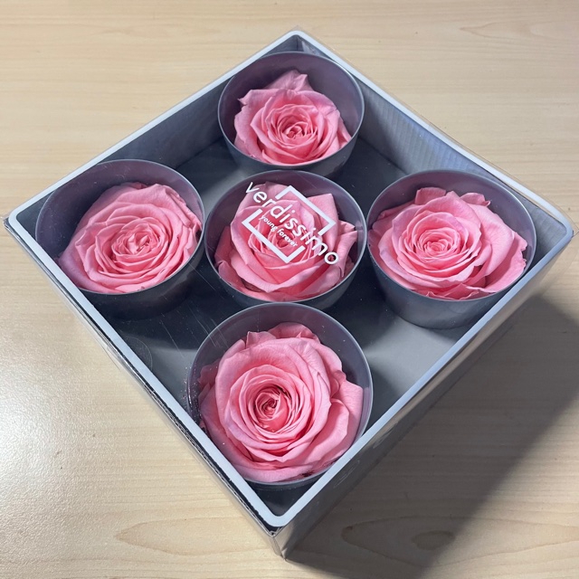 <h4>Roos Queen pastel roze</h4>