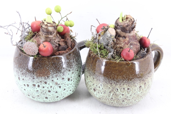 <h4>arr4 Amaryllis MB - Luxe mok x6 RED</h4>