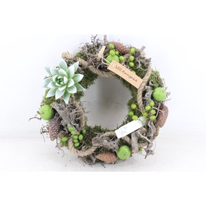 arr2 MB - Krans L ech. wit