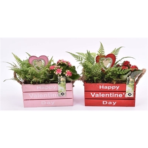 Hout rechthoek Valentine day 20x10