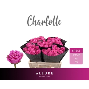 R GR CHARLOTTE ALLURE Allure Specials