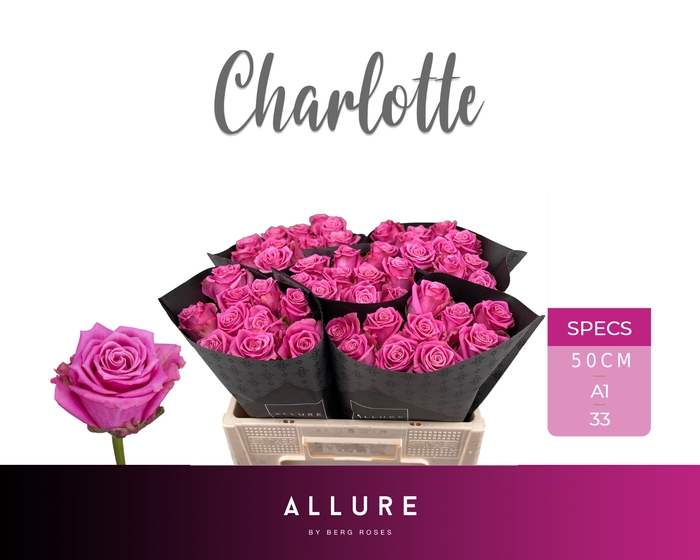 <h4>R GR CHARLOTTE ALLURE Allure Specials</h4>