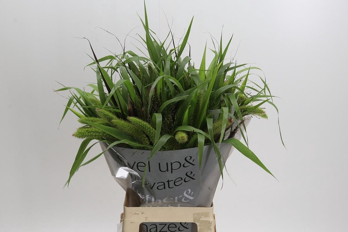 <h4>Grasses mix in bucket</h4>