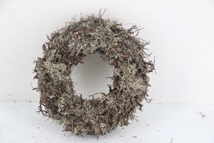 <h4>Wreath Grey Moss Bonsai Ø30</h4>