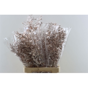Dried Ruscus Nat Rose Gold Glitter